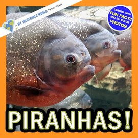 Piranhas!: A My Incredible World Picture Book for Children