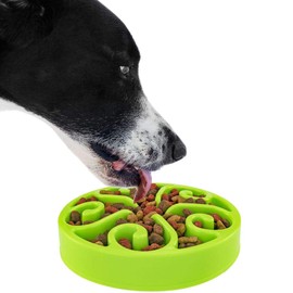 Slow Feeder Dog Bowl Anti-Choking Help Prevent Bloat Non Toxic BPA Free Feeding Dish, Green