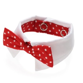 【Life with Dog】Party Color 《Bow Tie Wedding Accessories》 (XS, Dot Red)