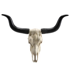 Veronese Design 14 Inch Long Horn Animal Skull Resin Wall Sculpture