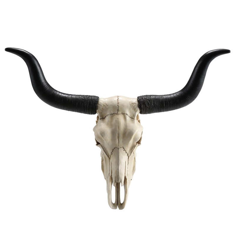 Veronese Design 14 Inch Long Horn Animal Skull Resin Wall