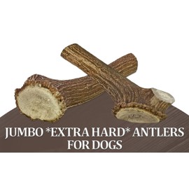 WhiteTail Naturals - Jumbo Antler Dog Chews - Tough Axis Deer Horn Antlers for Dogs (2 Pack -XXL) Durable Natural Dog Bones for Aggressive Chewers | American Made Dog Antler