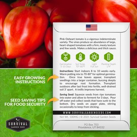 1 Pack Oxheart Pink Tomato Seeds for Planting with Instructions to Grow Large Delicious Canning Tomatoes in Your Home Vegetable Garden - Non-GMO Heirloom Oxheart Tomato Seeds - Survival Garden Seeds