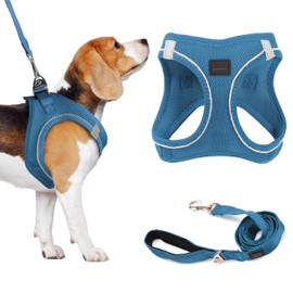 Filbert Dog Harness and Leash Set, 3/4 inch X 4.6ft Strong and Durable Leash, Step-in Reflective Harness Large Sized Dogs, Mesh Vest, High Reflectivity, Breathable Fabric, Heavy Duty Velcro