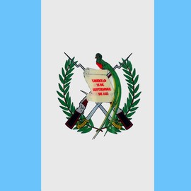 2 Pack Car Flags,Car Flag Guatemala Flag Outdoor with Guatemalans Flag and Car Flag Pole, Car Logo Window Clip Can be Clipped to Most Windows 14 inch Flag Pole and 16 x 10 inch Double Sided Flag.