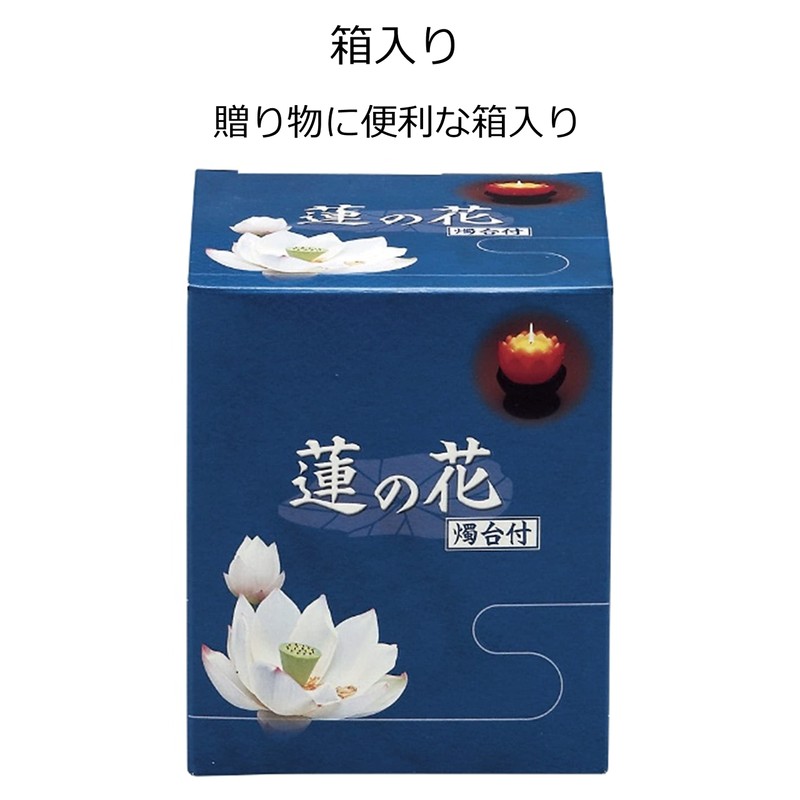 Maruesu Lotus Candle Series Single Item, White, Large