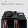 Boundless Audio Record Cleaner Kit - 2-Piece Vinyl Cleaning Kit