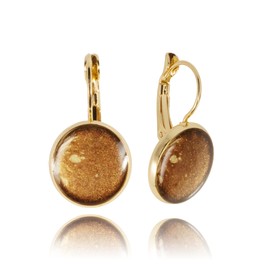 Elegant Small Round Drop Earrings; Birthday Gifts Surprise for Women (Brown Gold)