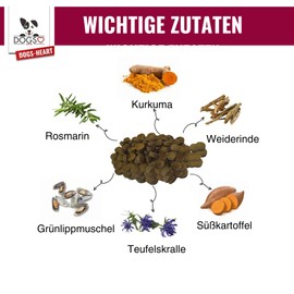 DOGS-HEART Joint Fit Drops - Joint-friendly ingredients, veterinarian-approved