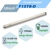 Flyercatch F15T8-D Daylight 15W Fluorescent Bulb,18'' F15T8/DL 6500K Bright White