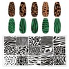 MOLILON 5pcs Nail Stamp with Nail Stamper and Scraper, Leopard