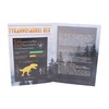 Toyland® T-Rex Skull Dig Kit - Display Stand Included -