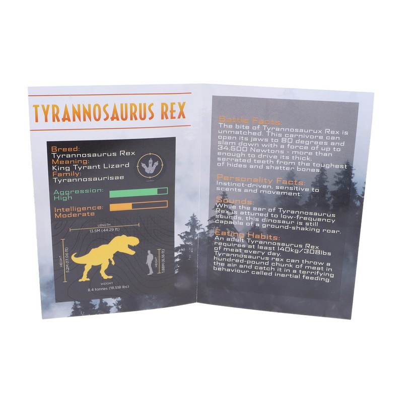 Toyland® T-Rex Skull Dig Kit - Display Stand Included -