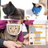 Cat Muzzle, Cat Mask, Mesh Mouth, Cat, Simple, Transparent, Breathable,