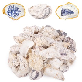 QEQEKAKA 25PCS Oyster Shells 4"-5" Concave Oyster Shells for Crafts Natural Oyster Shells Bulk, for Home Vase Filler, Xmas Ornaments, DIY Arts and Crafts Sea Shells