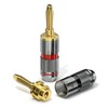 conecto CC50640 Banana Plugs High-End Professional (100% Copper) for all