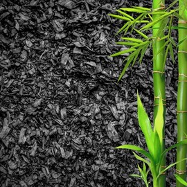 GARDENWISE Horticultural Charcoal for Plants – Organic Bio Char Soil Amendment for Terrariums, Indoor Plants & Gardening, Made in USA (20 quarts)