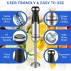 Aquox Handheld Blender Set 1500W, 5 in 1& 20 Speeds