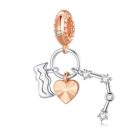 GOINEVA 12 Zodiac Sign Birthday Charms 925 Sterling Silver Charms Fits Women's Charm Bracelet & Necklace Valentine's Day Mother's Day Jewelry Gifts for Women（Aquarius）