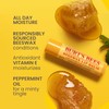 Burt's Bees Lip Balm, Beeswax (4.25 g)
