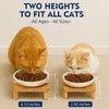 DoogCat Elevated Cat Bowls for Indoor Cats – Raised Bamboo