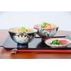 Mino ware Japanese Pottery Pair Rice Bowl Animal Pattern (set