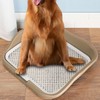 Dog Potty Tray with Raised Fences Removable Mesh Grid Pad