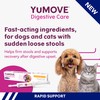 YuMOVE Digestive Care Rapid Probiotic Paste for Small Dogs &