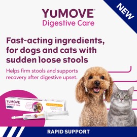 YuMOVE Digestive Care Rapid Probiotic Paste for Small Dogs & Cats | 15ml tube