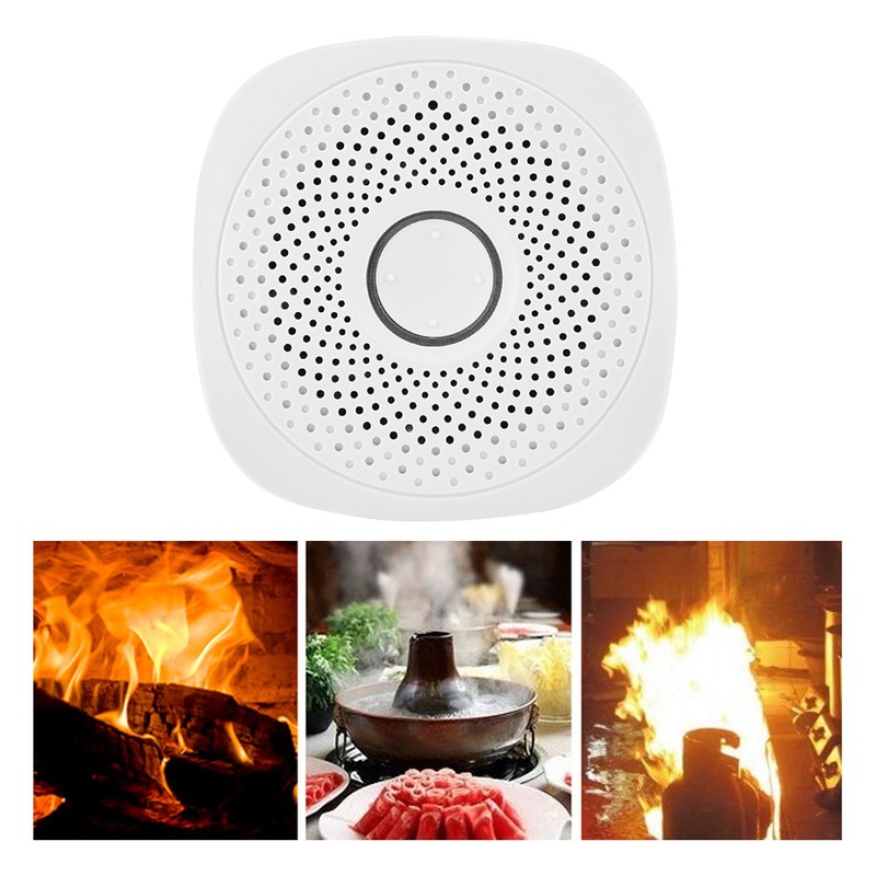 Combustible Gas Leak Detector Built in Speaker Smart Gas Alarm