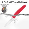 targzier Paring Knives with Straight Edge,Spear Point,Stainless Steel Paring Knife