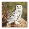 Orenco Originals Snowy Owl by Archibald Thorburn Counted Cross Stitch Pattern