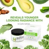 Clay Mask Avocado Dead sea Mud Stick Mask Natural Organic