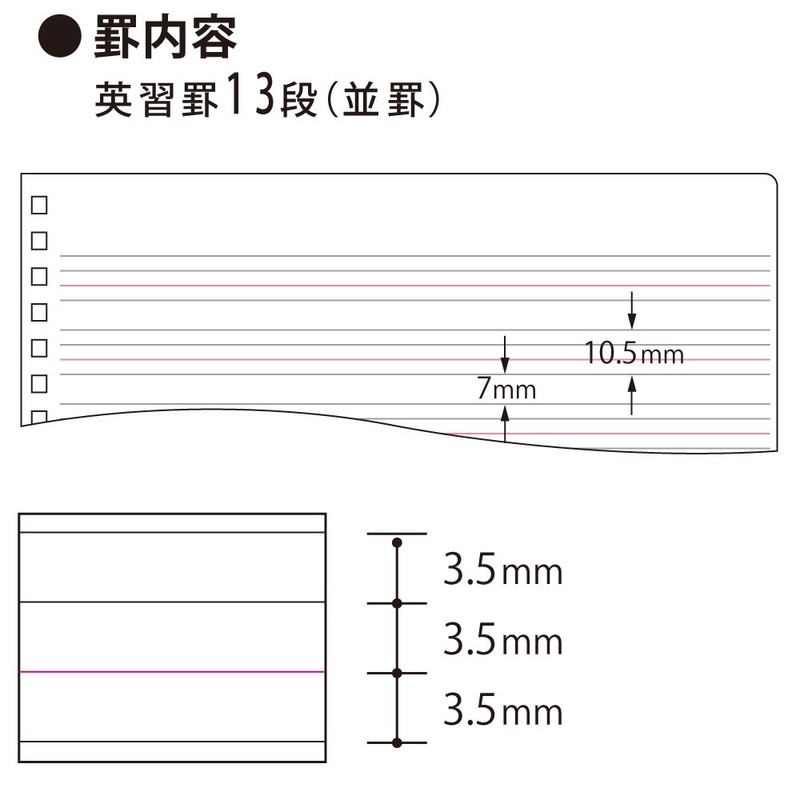 Kokuyo English 習帳 sohutoringuno-to Semi B5 13 Tier Space –