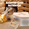 VANZACK Hamster Sand Bath Container with Ladder, Transparent Sand Bath