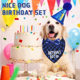 Dog Birthday Party Set,Dog Birthday Party Accessories Cute with Cute Dog Bow Dog Birthday Crown Hat with Numbers Birthday Gift,Dog Birthday Decoration for Small Medium Large Dogs (Blue)