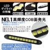 KYOUDEN Daylight, LED Daylight, COB, Surface Luminous, Flexible Bend, Straight