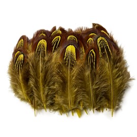 100 pcsHappy Feather Natural Pheasant Plumage Feathers 2-3 Inches Plumage Feathers for Sewing Crafts Clothing Decorating Accessories -Yellow