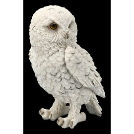 Figuren Shop GmbH Snow Owls Animal Figure - Snowy Watch Medium Bird Figurine, Decorative Figure, Decorative Article, Statue, Sculpture, W 13 cm