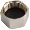 Esco EA432LG-2 G3/4 Inch Cap Nut (with Gasket)