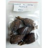 Ghana Alligator Pepper mbongo spice hepper Pepper (10)