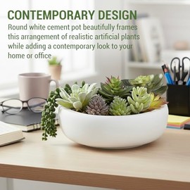 MyGift- Maceta Redonda en Color Blanco, Incluye arreglo Artificial para suculentas Mide (Aproximadamente) 20.3cm, Centro de Mesa Comedor, Plantas Artificiales Decorativas hogar