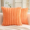 JOTOM Set of 2 Double-Sided Faux Fur Plush Cushion Covers
