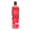 Shampoo Huichol De Chile, Romero Y Espinosilla 400 Ml (Individual)