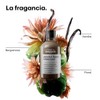 L'Oréal Professionnel Absolut Repair Molecular Shampoo | Shampoo reparador molecular