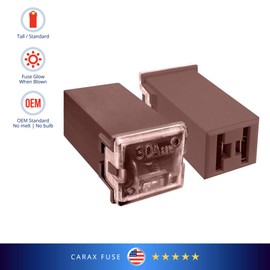 CARAX Glow Fuse – Premium Fuse Cartridge Tall Standard Fuse – 30A Kit 1 pcs. – Glow When Blown LED Automotive Fuse – Smart Auto Glow Fuse Easy Identification – 1 pcs.