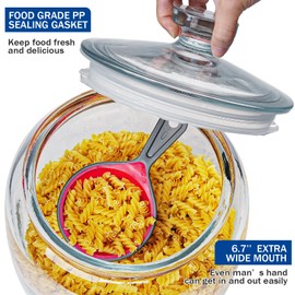 Daitouge 2.5 Gallon Glass Jars with Lids, Large Cookie Jars with Wide Opening, 1 Pack Glass Storage Jars with Lids for Kitchen, Great for Storage Flour, Rice, Sugar, Pasta, Candy