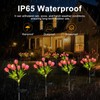 Aolyty Solar Garden Lights Outdoor, Solar Tulip Lights 2 Pack