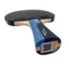 Butterfly Timo Boll Sapphire Table Tennis Bat, ITTF Certified Addoy