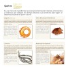 Eternal Nutrition Neuro Sleep Complejo Relajante 100 Cápsulas Bisglicinato Magnesio